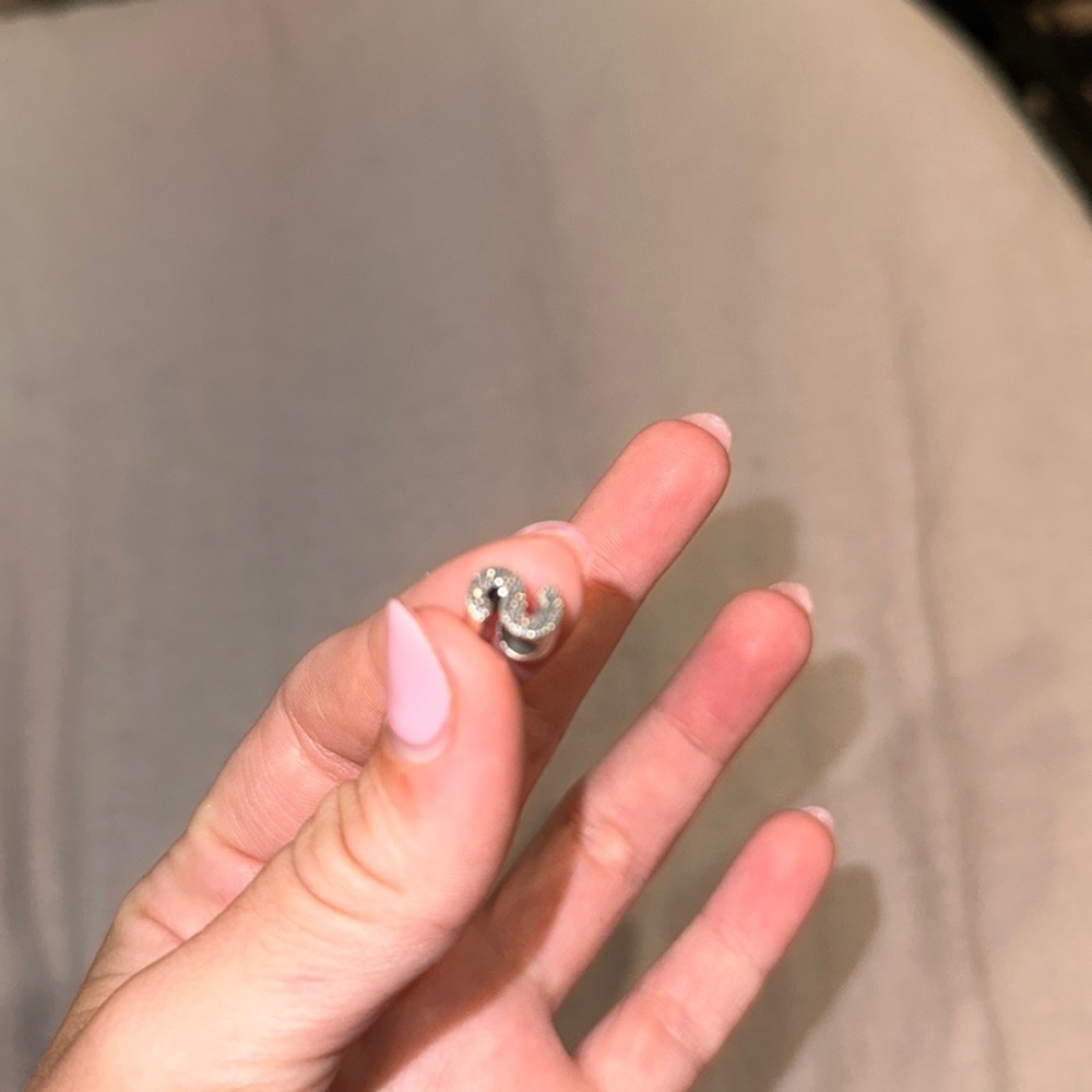 Pandora S charm